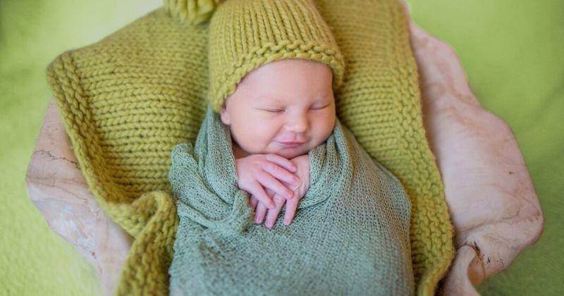 Freepik/freepic.diller